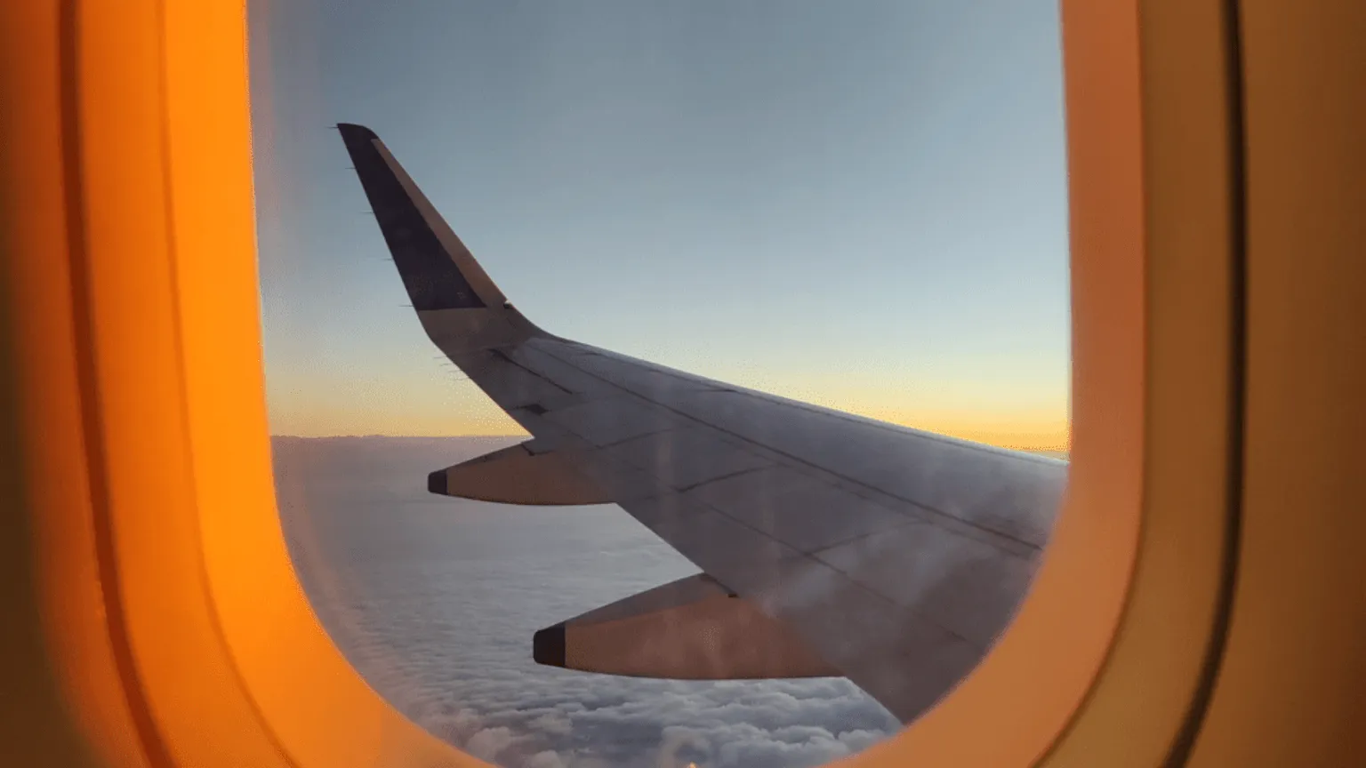 flight bookings